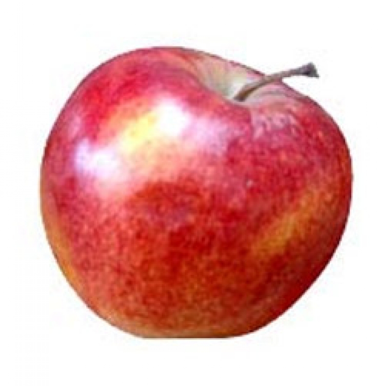 Jabłko Najdared