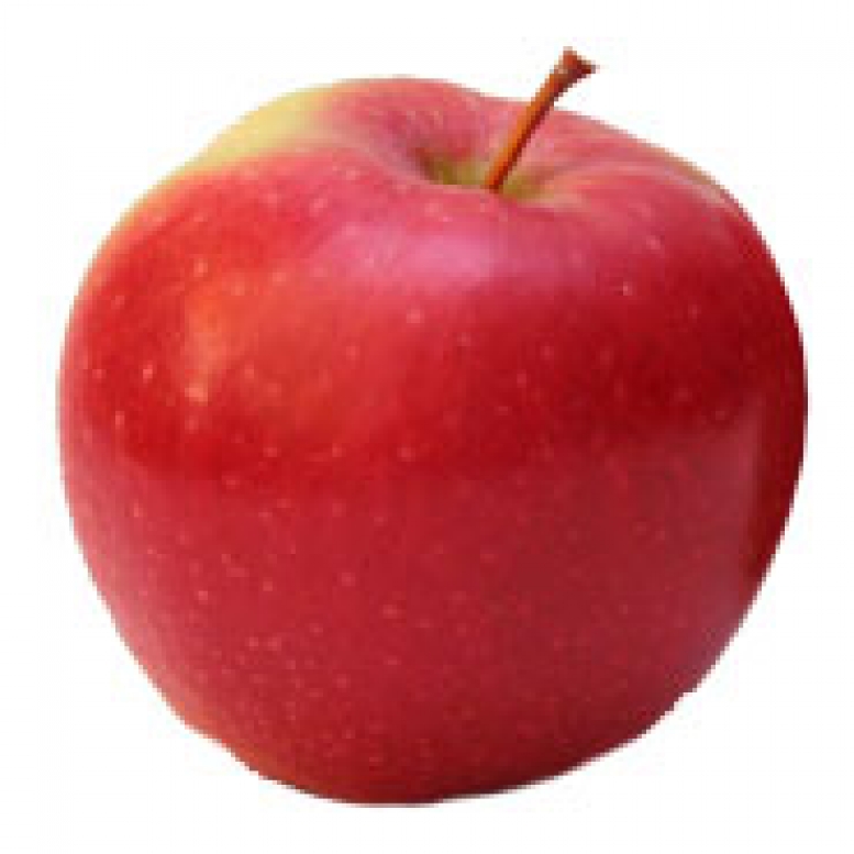 Jabłko Jonica