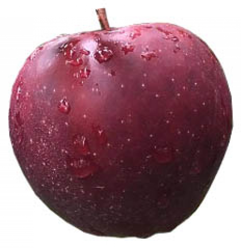 Jabłko Muna